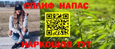 крисы Будённовск