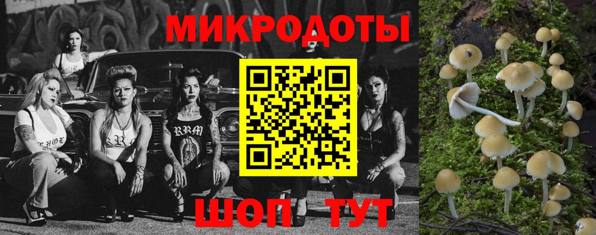 где продают наркотики  Вход с VPN  Красноуфимск  Галлюциногенные грибы мицелий 